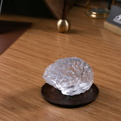 Glass Brain Sculpture