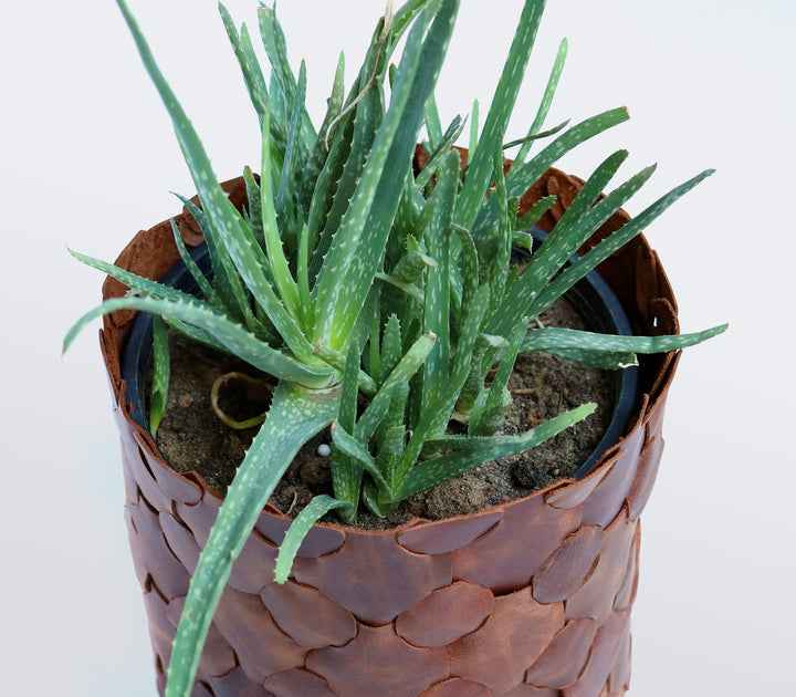 Knitted Leather Planter Cover