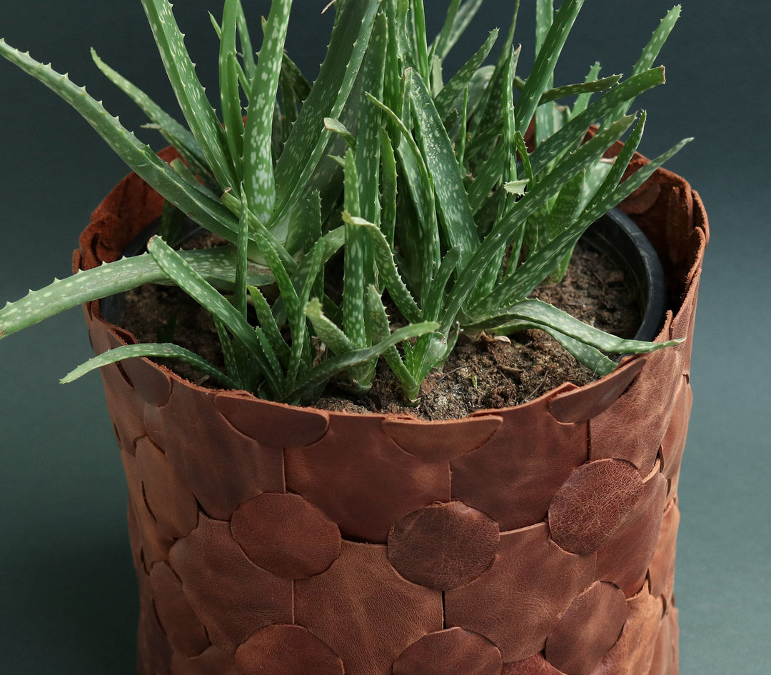Knitted Leather Planter Cover