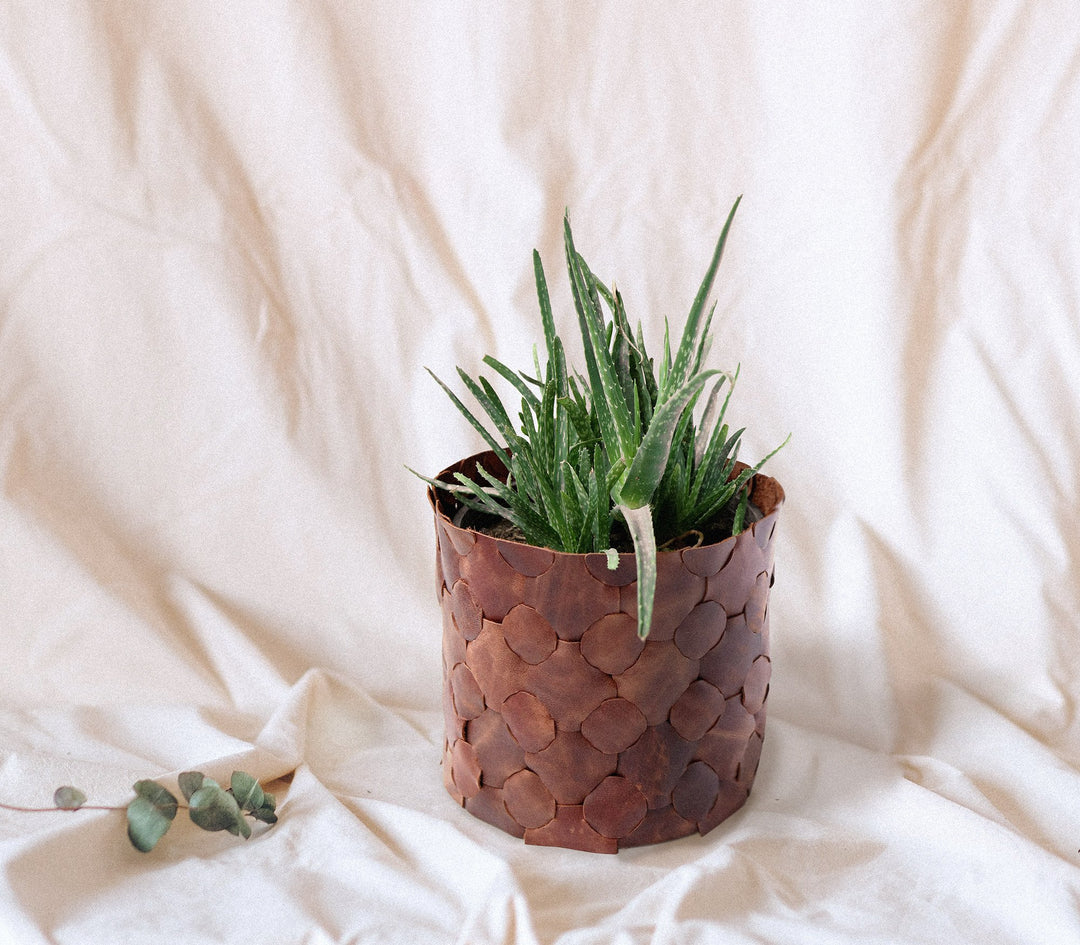 Knitted Leather Planter Cover